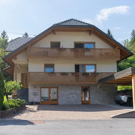 Apartma Velesa * 博希尼